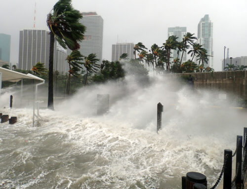 Prepare Your Affiliate as Hurricane Season Arrives